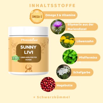 Illustration zur Förderung von "Sunny Livi" für die Lebergesundheit von Hunden, mit einem lächelnden Lebercharakter und Text über die Vorteile von Mariendistel und Löwenzahn.