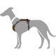 Illustration eines grauen Hundes, der ein braunes und graues Geschirr trägt, das sein Design und seine Passform zeigt.