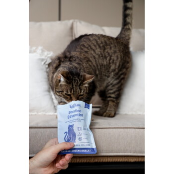 Getigerte Katze schnüffelt an einer handgehaltenen blauen Packung mit der Aufschrift 'KatKare sardine Essential' auf einem Sofa.