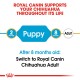 Royal Canin Chihuahua food guide: "Supports your Chihuahua throughout its life," with age tips for Puppy (2 months) and Adult (8 months).