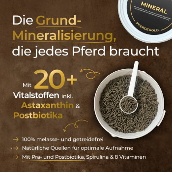 Schwarzer Eimer mit Pferdegold Mineralfutter für Pferde, mit deutschem Qualitätszeichen und Informationen zur 30-Tage-Garantie und Ergebnissen in 2 Wochen.