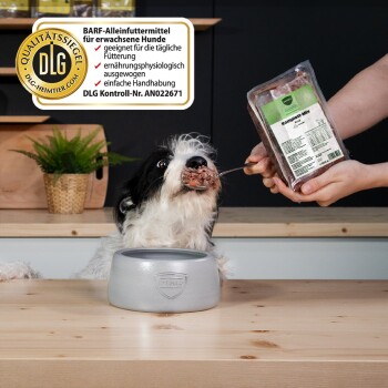 Schwarz-weißer Hund frisst einen Löffel verpacktes Rohfutter mit der Aufschrift "COMPLETE"; DLG-Qualitätssiegel und deutscher Text sichtbar.