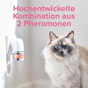 Recharge CatComfort Excellence aux phéromones pour chat - Bien être -  Chadog Diffusion
