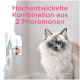 Eine flauschige Katze mit auffälligen blauen Augen steht neben einem Pheromondiffusor mit der Aufschrift "beaphar CatComfort", der eine Kombination aus 2 Pheromonen bewirbt.