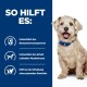 Ein flauschiger Hund mit einem blauen Halsband auf einem blauen Hintergrund, der Vorteile hervorhebt: Blutzuckerunterstützung, Erhalt von schlanker Muskulatur und gesundes Gewicht.