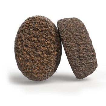 Zwei Stücke dunkelbraunes, strukturiertes Trockenfutter für Hunde auf weißem Hintergrund.