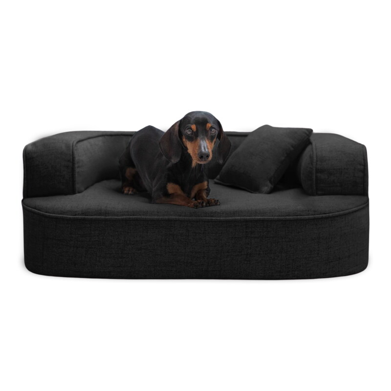 Tierlando LOTTE VISCO PLUS - Orthopädisches Hundesofa schwarz 80 cm, 30 cm, 60 cm
