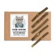 Eine Verpackung mit der Aufschrift "Kater Kasimir Katzenminze Matatabi Sticks", die eine illustrierte Katze mit Brille zeigt, mit fünf natürlichen Holzstäbchen daneben.