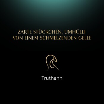 Delikatesse in Gelee 28x85 g Truthahn