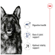 A close-up of a German Shepherd's face with text highlighting benefits: "Digestive health," "Bone & joint support," and "Optimal vitality support."