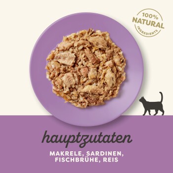 Katzenfutter auf einem lila Teller mit zerrissenem Fisch und Reis, beschriftet mit "hauptzutaten", mit Makrele, Sardinen und einem Siegel für natürliche Zutaten.