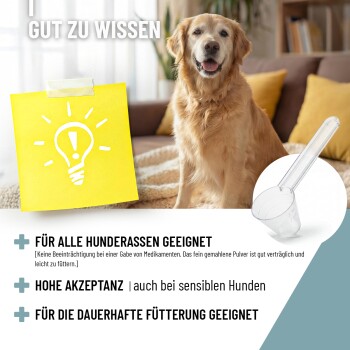 Collage von Haustieren: Person mit einer Katze, einem Hund und einem Pferd. Text: "NATURPRODUKTE" und "Damit es dir gut geht."