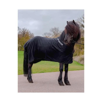 Ein schwarzes Pferd, das eine schwarze Decke trägt und auf einem Weg steht, mit dem sichtbaren Text 'TOP BETTER' auf der Decke.