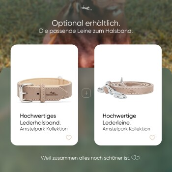 Bild eines hochwertigen Lederhalsbands und einer Leine für Hunde aus der Amstelpark-Kollektion, mit Text, der ihre passenden Optionen bewirbt.