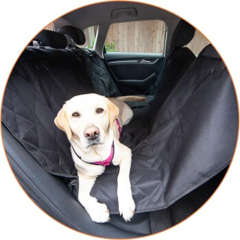 Ein Hund, der auf einem schwarzen Autositzbezug im Rücksitz eines Autos ruht, zeigt eine komfortable Reisearrangement für Haustiere.