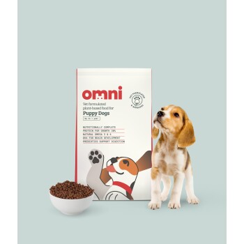Ein Beagle-Welpe steht neben einer Tüte 'omni' veterinärformuliertes pflanzliches Futter für Welpen, mit einer Schüssel Trockenfutter davor.