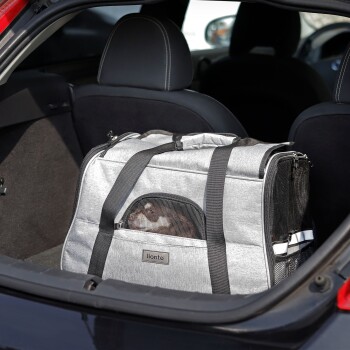 Eine graue Tiertrage mit Netzfenstern im Kofferraum eines Autos, mit einem kleinen Hund, der herausblickt, und einem "lionto"-Etikett.