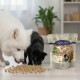 Weißer Hund und schwarze Katze fressen Trockenfutter auf dem Boden neben einer Tüte Snacks mit der Aufschrift 'Lyra Pet' und dem 'Nature Power'-Siegel.