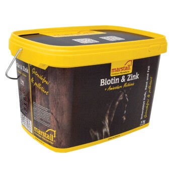 Biotin & Zink