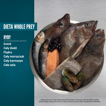 Miska wypełniona różnymi całymi rybami, w tym łososiem, śledziem, flądra, dorszem i solą, na niebieskim tle z tekstem wymieniającym rodzaje ryb.