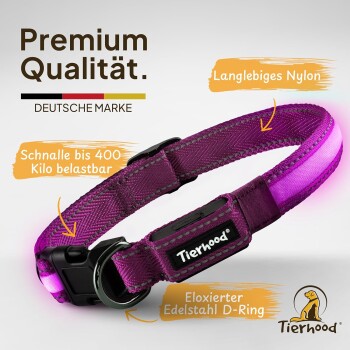 Lila Hundehalsband aus strapazierfähigem Nylon, mit einem starken Verschluss, der für 400 kg ausgelegt ist, mit einem Edelstahl-D-Ring und Tierhood-Branding.