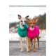 Zwei Hunde, die nebeneinander stehen, einer trägt einen grünen gestrickten Pullover und der andere einen rosa gestrickten Pullover, vor einem verschwommenen Hintergrund.