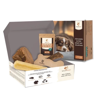 Wildfang-Hundekauspielzeug- und Leckerlibox mit Geweih, Knochen und Verpackung mit braun-weißem Hund.