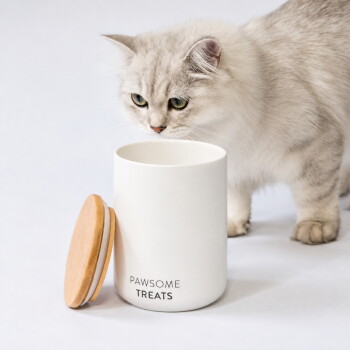 Eine flauschige graue Katze geht neben einem weißen Leckerli-Glas mit der Aufschrift "PAWSOME TREATS" mit teilweise abgenommenem Holzdeckel.