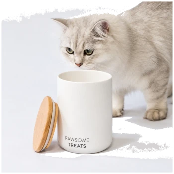 Eine flauschige graue Katze geht neben einem weißen Leckerli-Glas mit der Aufschrift "PAWSOME TREATS" mit teilweise abgenommenem Holzdeckel.