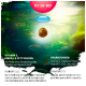 Ein Fischfutterpellet schwimmt in einer bunten Unterwasserszene und zeigt Vorteile: Vitamin E, Omega-3, Präbiotika, Probiotika und Ergänzungen.