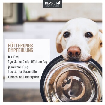 Ein Behälter mit REAVET BALLASTO VET für Hunde, 250g, mit Text, der die Vorteile bei Verstopfung, natürliche Zutaten und einfache Dosierung hervorhebt.