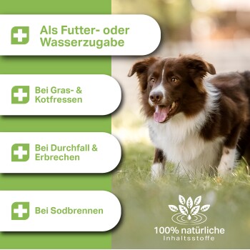 Hund im Gras mit Textfeldern, die die Vorteile eines natürlichen Haustierprodukts auflisten: unterstützt die Verdauung, reduziert Durchfall und enthält 100% natürliche Zutaten.