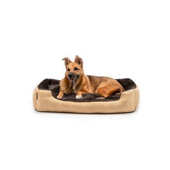 Hundebett mit Wendekissen braun/ beige XL