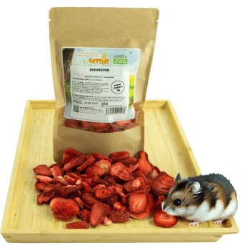 Ein kleiner Hamster sitzt neben einem Beutel mit getrockneten Erdbeeren, der mit "GETZOO 100% FRESH" beschriftet ist, auf einem Holztablett, mit Erdbeerscheiben, die herumliegen.