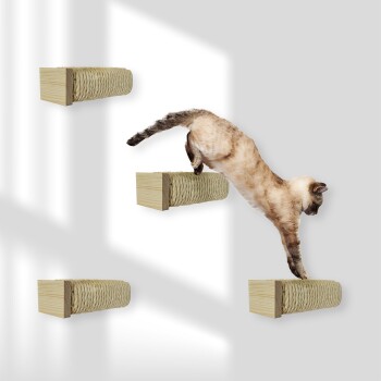 Siamkatze springt zwischen wandmontierten Holz-Kratzpfosten, die mit Seil umwickelt sind, an einer hellgrauen Wand.