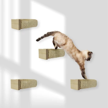 Siamkatze springt zwischen wandmontierten Holz-Kratzpfosten, die mit Seil umwickelt sind, an einer hellgrauen Wand.