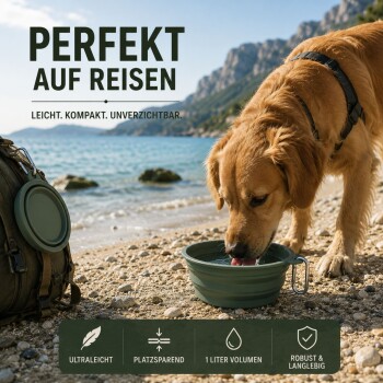 Brauner Hund mit schwarzem Geschirr trinkt Wasser aus einer zusammenklappbaren grünen Schale auf einem Bergpfad.