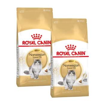 Zwei Tüten Royal Canin Adult Norwegian Forest Cat Trockenfutter, mit einer grau-weißen Katze auf der Vorderseite, mit einem gold-weißen Design.