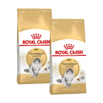 Deux sacs de nourriture sèche pour chats Royal Canin Adult Norwegian Forest Cat, présentant un chat gris et blanc sur le devant, avec un design doré et blanc.