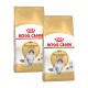Zwei Tüten Royal Canin Adult Norwegian Forest Cat Trockenfutter, mit einer grau-weißen Katze auf der Vorderseite, mit einem gold-weißen Design.