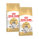 Zwei Tüten Royal Canin Adult Norwegian Forest Cat Trockenfutter, mit einer grau-weißen Katze auf der Vorderseite, mit einem gold-weißen Design.