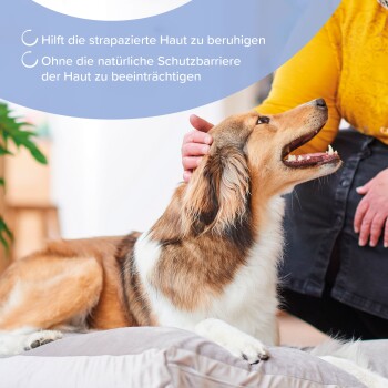 Person streichelt einen glücklichen Hund, der auf einem Kissen liegt, mit deutschem Text über beruhigte gestresste Haut und Schutz der Hautbarriere.