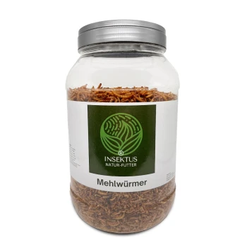 Ein klares Glas, gefüllt mit Mehlwürmern, beschriftet mit "INSEKTUS NATUR-FUTTER Mehlwürmer," das das Produkt für die Haustierfütterung zeigt.