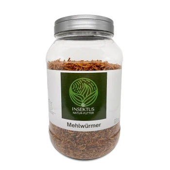 Ein klares Glas, gefüllt mit Mehlwürmern, beschriftet mit "INSEKTUS NATUR-FUTTER Mehlwürmer," das das Produkt für die Haustierfütterung zeigt.