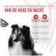 Eine Hand hält eine Ergänzungstablette über einem Collie-Hund, mit einer Tabelle, die tägliche Ergänzungsempfehlungen basierend auf dem Gewicht des Hundes detailliert.