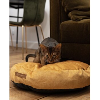 Eine braune Katze kauert auf einem runden, goldenen Haustierbett in einem gemütlichen Wohnzimmer, mit einem grünen Stuhl und einem dunklen Sofa im Hintergrund.