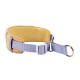 Gepolstertes Hundehalsband mit lavendelfarbenem Nylongurt, beige Innenseite mit honigwabenförmiger Polsterung, weißer Kunststoffschnalle und Metall-D-Ring