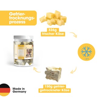 Flussdiagramm zur Produktion von Käse-Sticks für Haustiere: Milchsammlung, Kochen, Herstellung von Weichkäse, Trocknen. Deutscher Text: "Wie wird unser Käse hergestellt?"