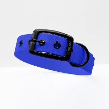 Biothane Halsband Blau Schwarz M Blaues Hundehalsband mit einer schwarzen Schnalle und Löchern zur Anpassung, mit dem Text "THE DOG IDEA" auf der Schnalle.