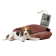 Ein Hund liegt auf einem braunen Haustierbett mit einem Etikett, das "+ Kotbeutel Set" liest, das einen Hundekotbeutelspender und Rollen enthält.